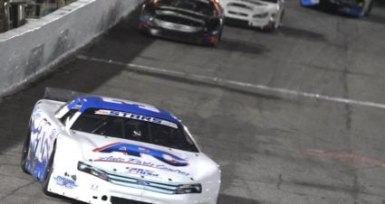 Sizzling Steckly Tops Redbud 300